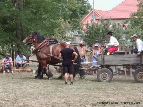 IMG_20260801_113039